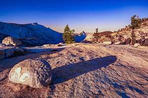 Rock Tree Dome