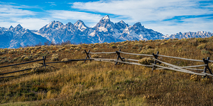 Grand Fence