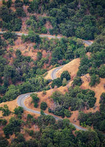 Sequoia Road Trip