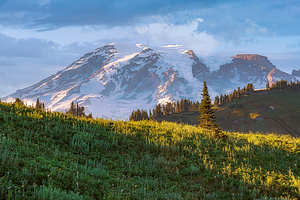 Mt Rainier Evening