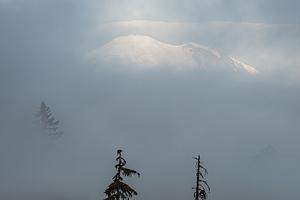 Rainier Fog