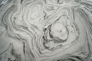 Sandy Zebra Beach Art