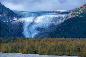 Sun Dappled Exit Glacier