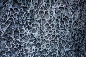 Honeycomb Rocks Stony Embrace