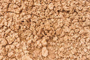 Desert Crumble Texture