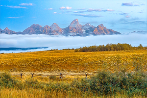 Teton Dawn