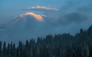 Foggy Rainier Morning
