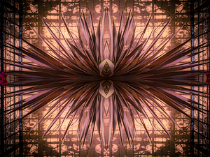 Brick Bloom Symmetry