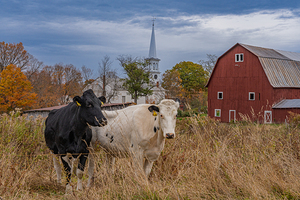 Moo dy Barn and Church