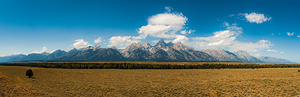 Teton Panorama