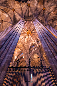 Cathedrals Vaulted Grandeur