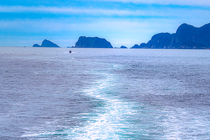 Kenai Boat Tour