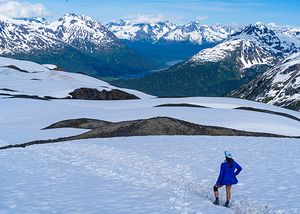 Exit Glacier Trail