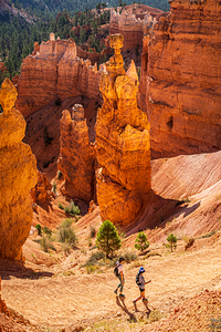 Hiking the Navajo Trail