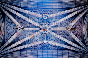 Cathedral Ceiling: Skulls and Feathers