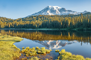 Rainier Reflection