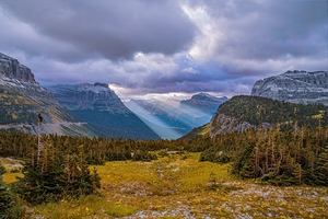 Logan Pass Sunbeams
