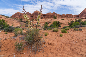 Hiking Corona Arch Trail