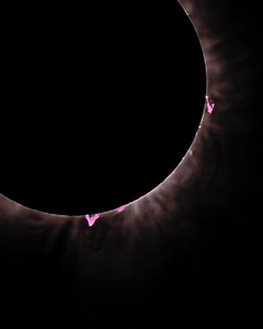 Solar Prominance