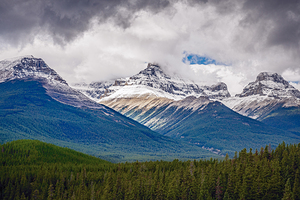 Icefield Vista