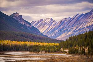 Sun Dappled Icefield Parkay