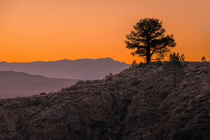 California Sunrise