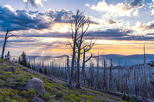 Cloud Cap Sunrise.