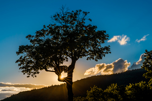 Kancamangus Sunset