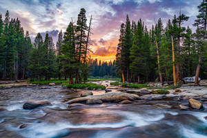 Tuolumne River Campground Sunset Yosemite Natinoal Park