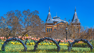 Smithsonian Gardens