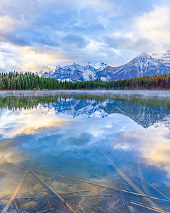 Herbert Lake