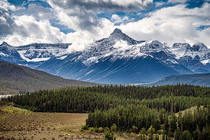 View from Icefiled Parkway
