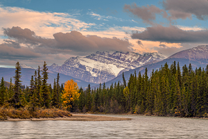 Jasper Sunset