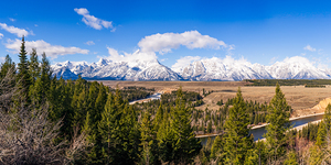 Snake River Panorama