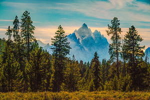 Grand Teton Morming