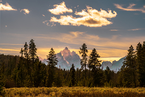 Grand Teton Morming