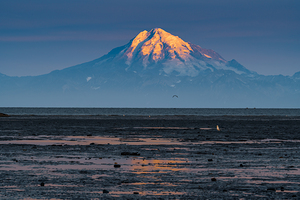Mt Redoubt Sunrise