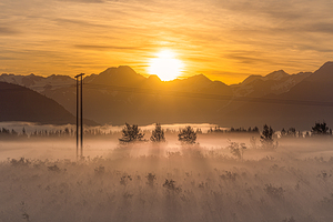 Turnagian Sunrise