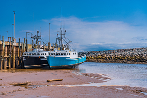 Fisherman In