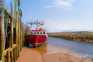 Boats In