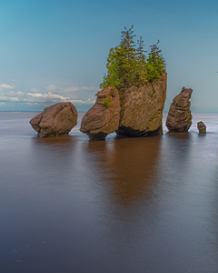 High Tide Hopewell Rocks