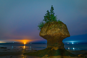 Hopewell Rocks Seastack