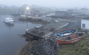 Foggy Cove