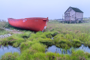 Beached