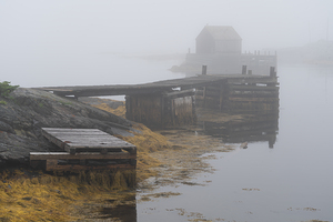 Foggy Morning Blue Rocks