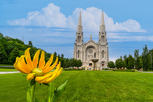 Sanctuaire Sainte-Anne-de-Beaupre.Flower