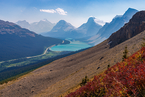 Bow Lake View