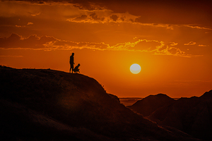 Sunset Tourists