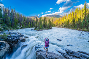Tree Pose over Sunwapta Falls
