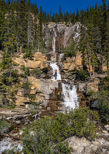 Tangle Creek Tree Pose